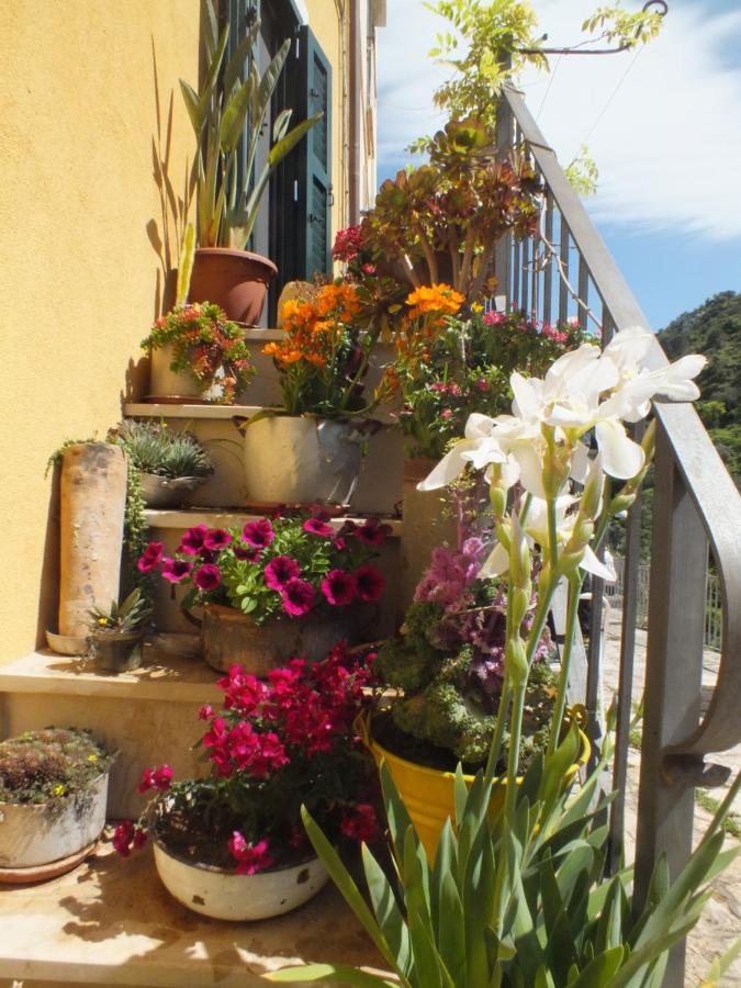 Ferienwohnung La Casa Di Sveva Ragusa Exterior foto